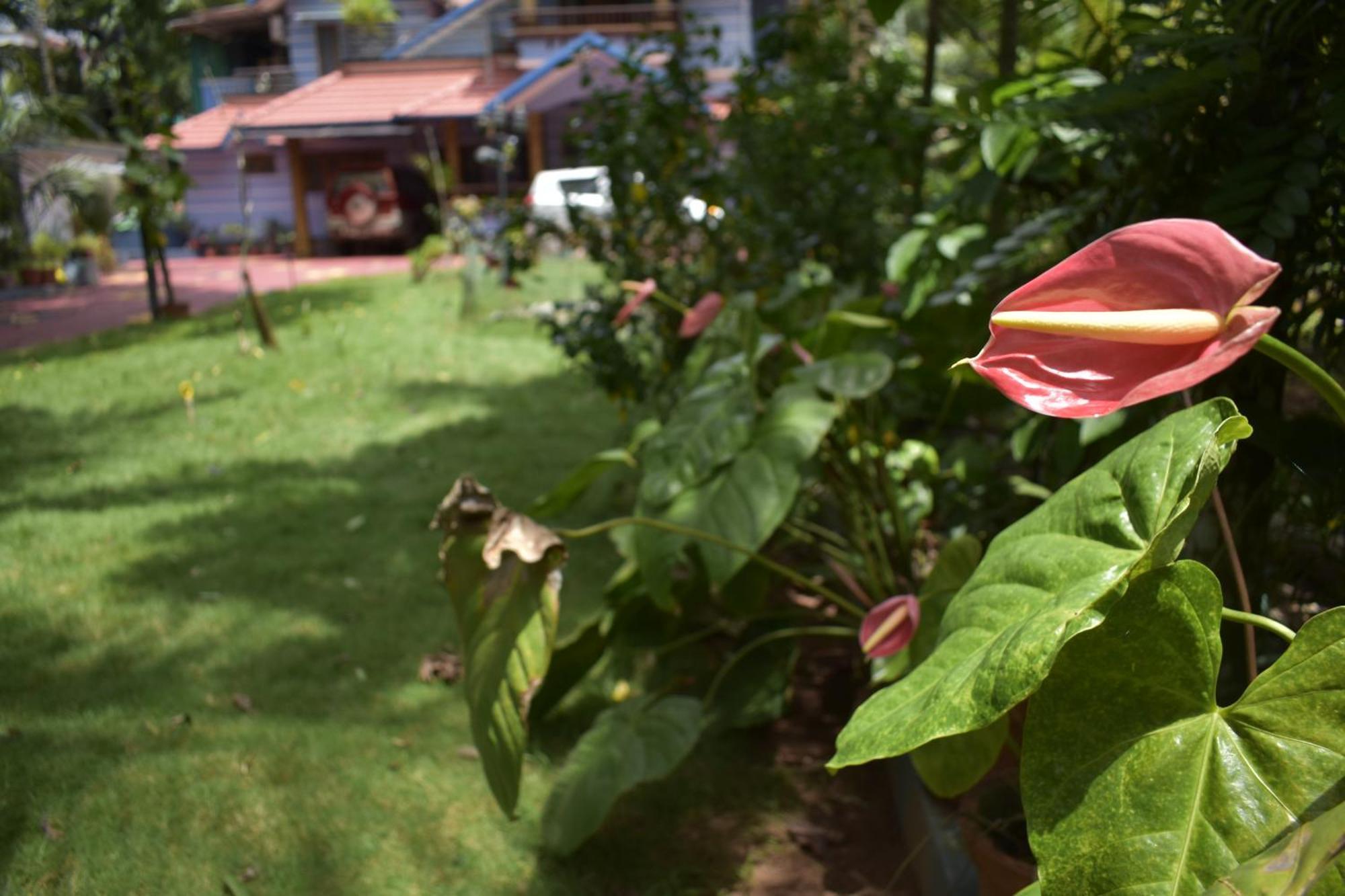 Ben'S Villa Kannur ! Bagian luar foto